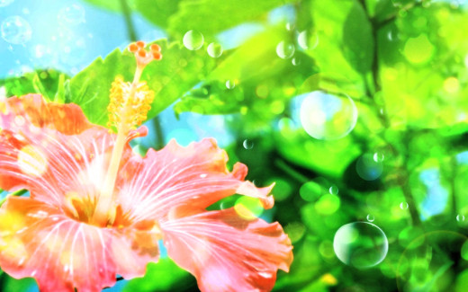 1676951 (a): :1920x1200